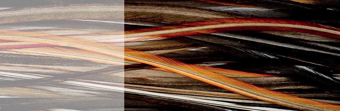 Frisur & Schönheit Frisur & Schönheit